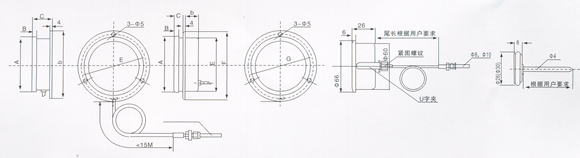 WTZ280ѹʽ¶ȼ